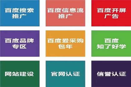 搜索引擎营销（SEM）的投放策略与效果评估——以某行业领先企业的案例分析